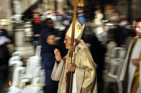 Nom de l'image : D1121421-01 — Description :