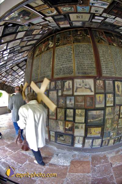 Nom de l'image : D2008945-1 — Description :