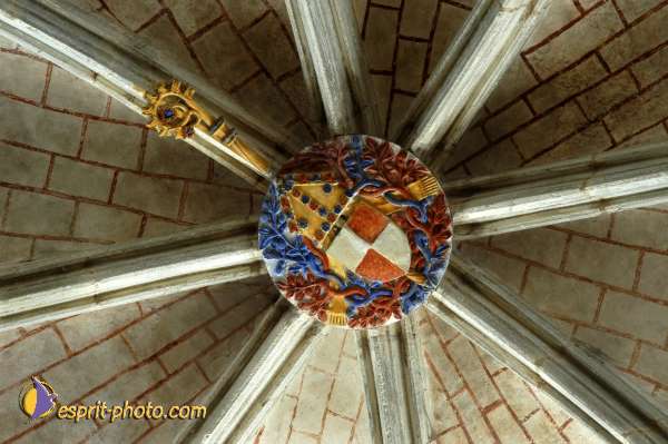 Nom de l'image : D1154206-01 — Description :