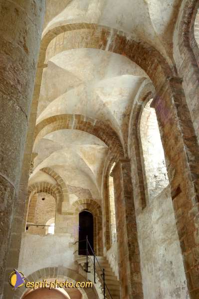 Nom de l'image : D1154211-01 — Description :