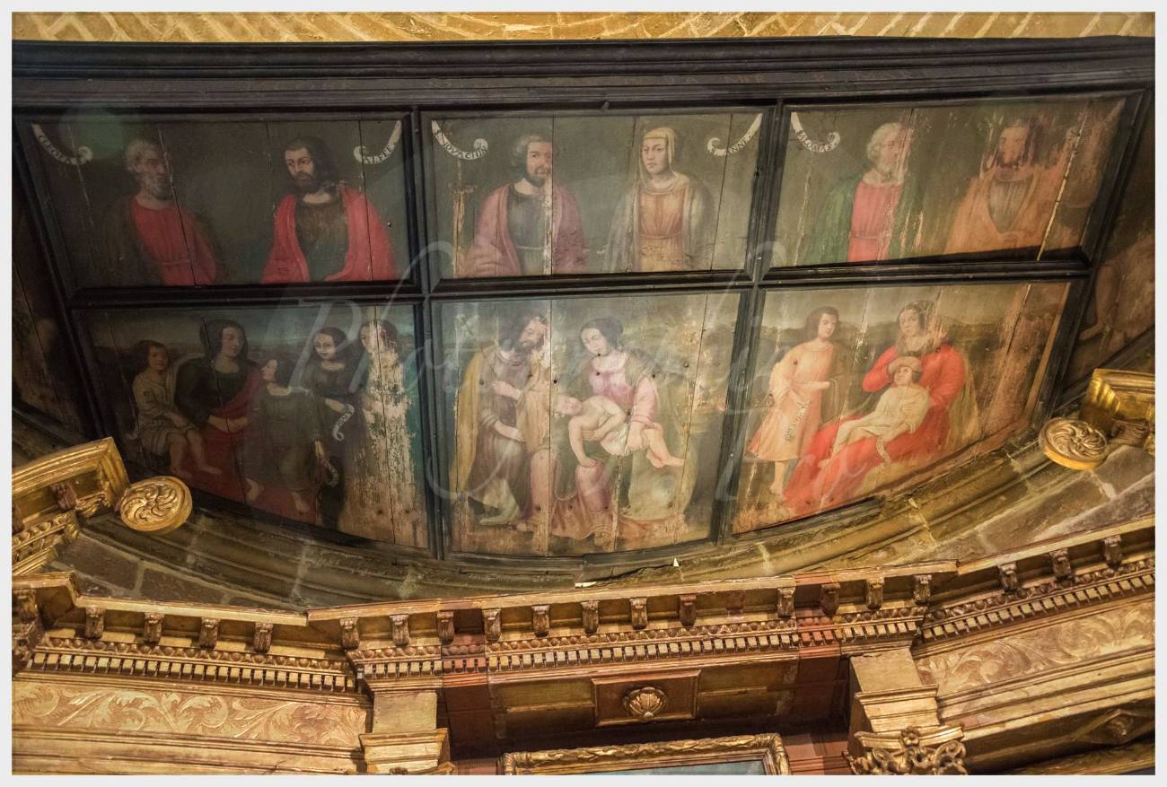 Nom de l'image : 20170424-103432_D6011972_c_Photographie.Pro — Description :