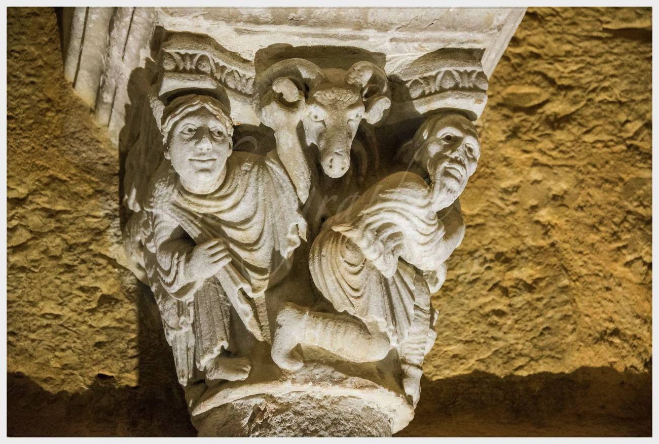 Nom de l'image : 20170424-104812_D6011983_c_Photographie.Pro — Description :