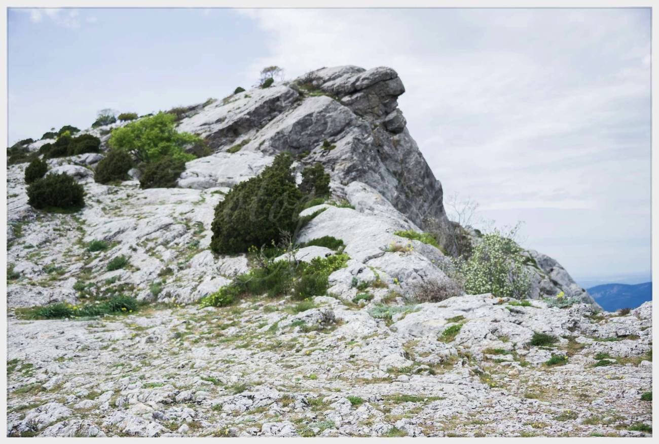 Nom de l'image : 20170425-142916_D6012226_c_Photographie.Pro — Description :