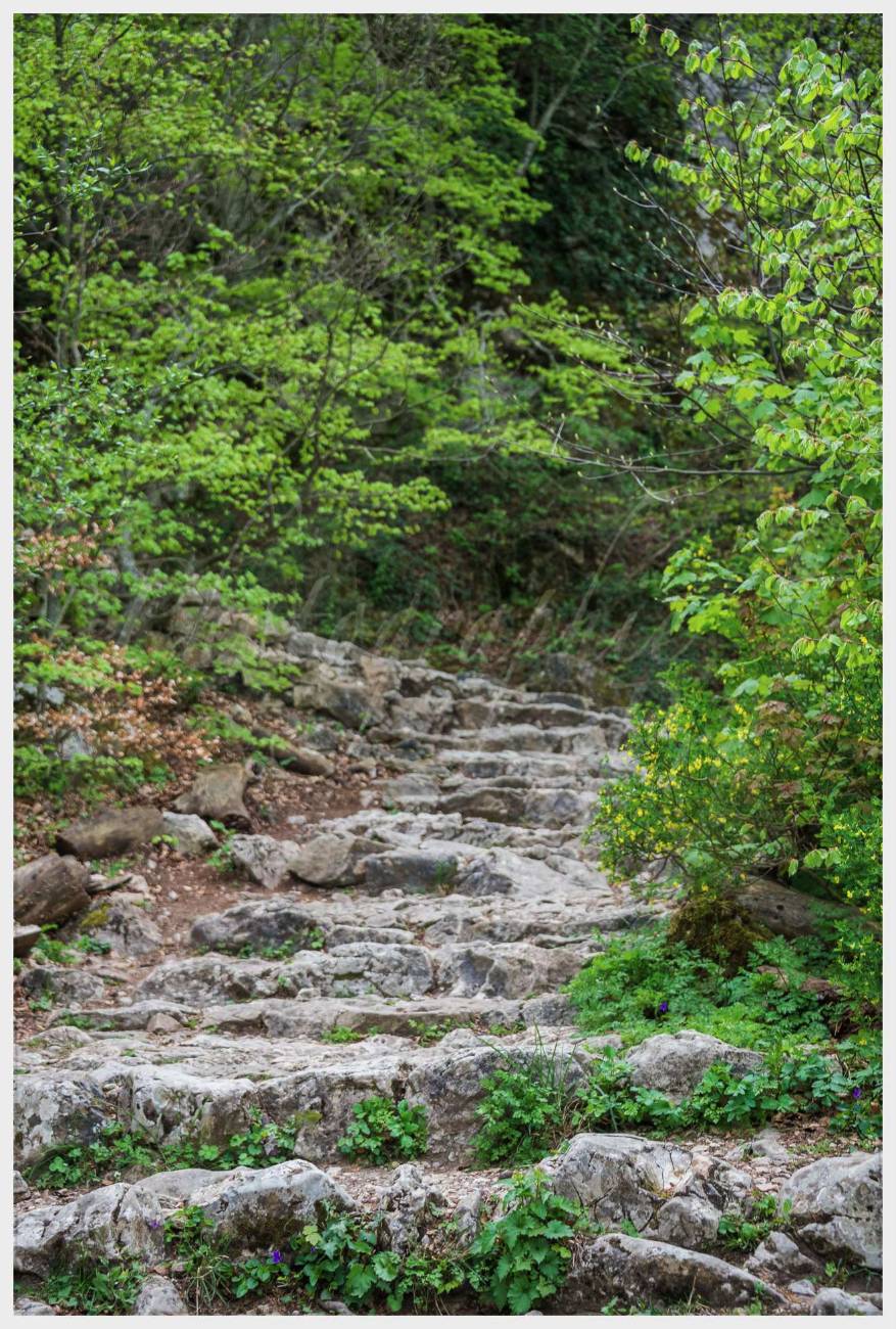 Nom de l'image : 20170425-143426_D6012245_c_Photographie.Pro — Description :