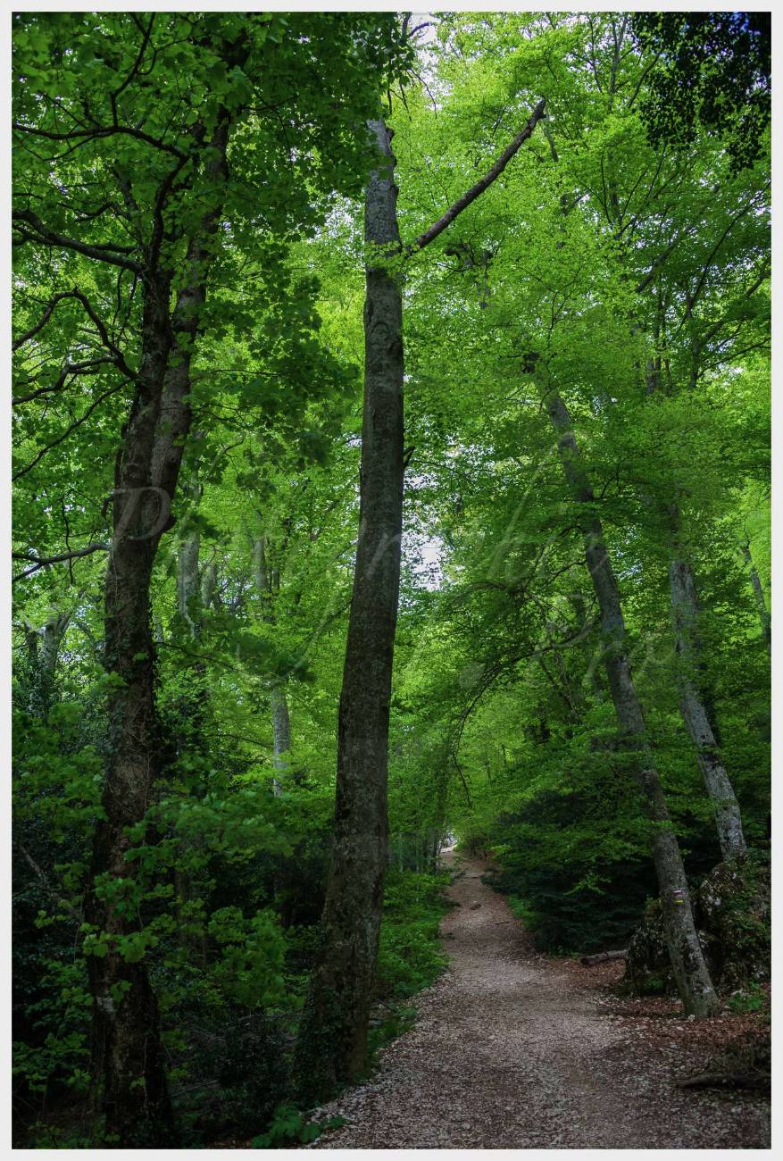 Nom de l'image : 20170425-155022_D6012262_c_Photographie.Pro — Description :