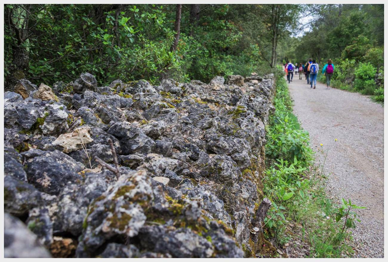 Nom de l'image : 20170426-150326_D6012400_c_Photographie.Pro — Description :