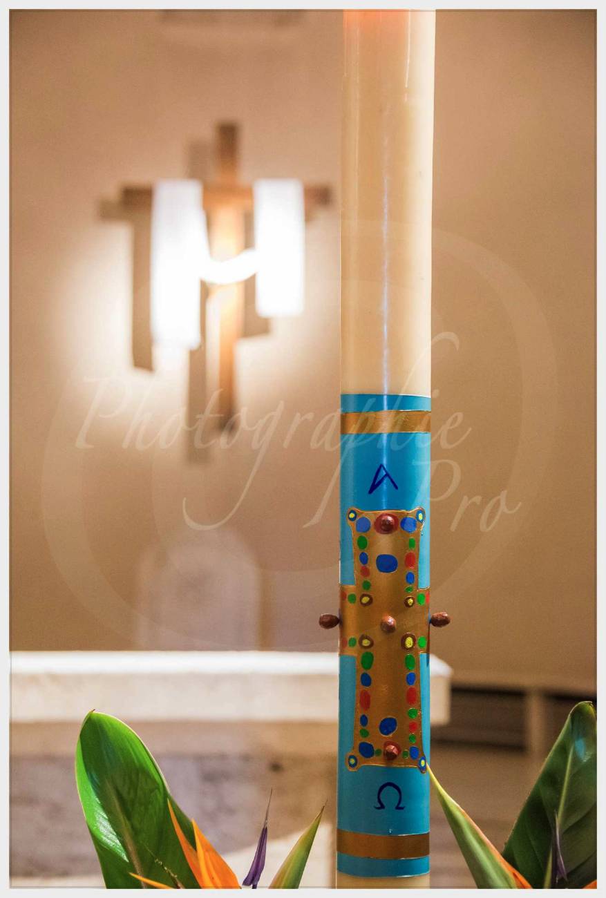 Nom de l'image : 20170427-120138_D6012797_c_Photographie.Pro — Description :