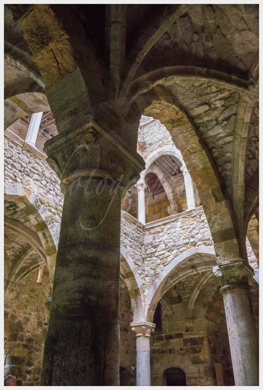 Nom de l'image : 20170427-125308_D6012830_c_Photographie.Pro — Description :