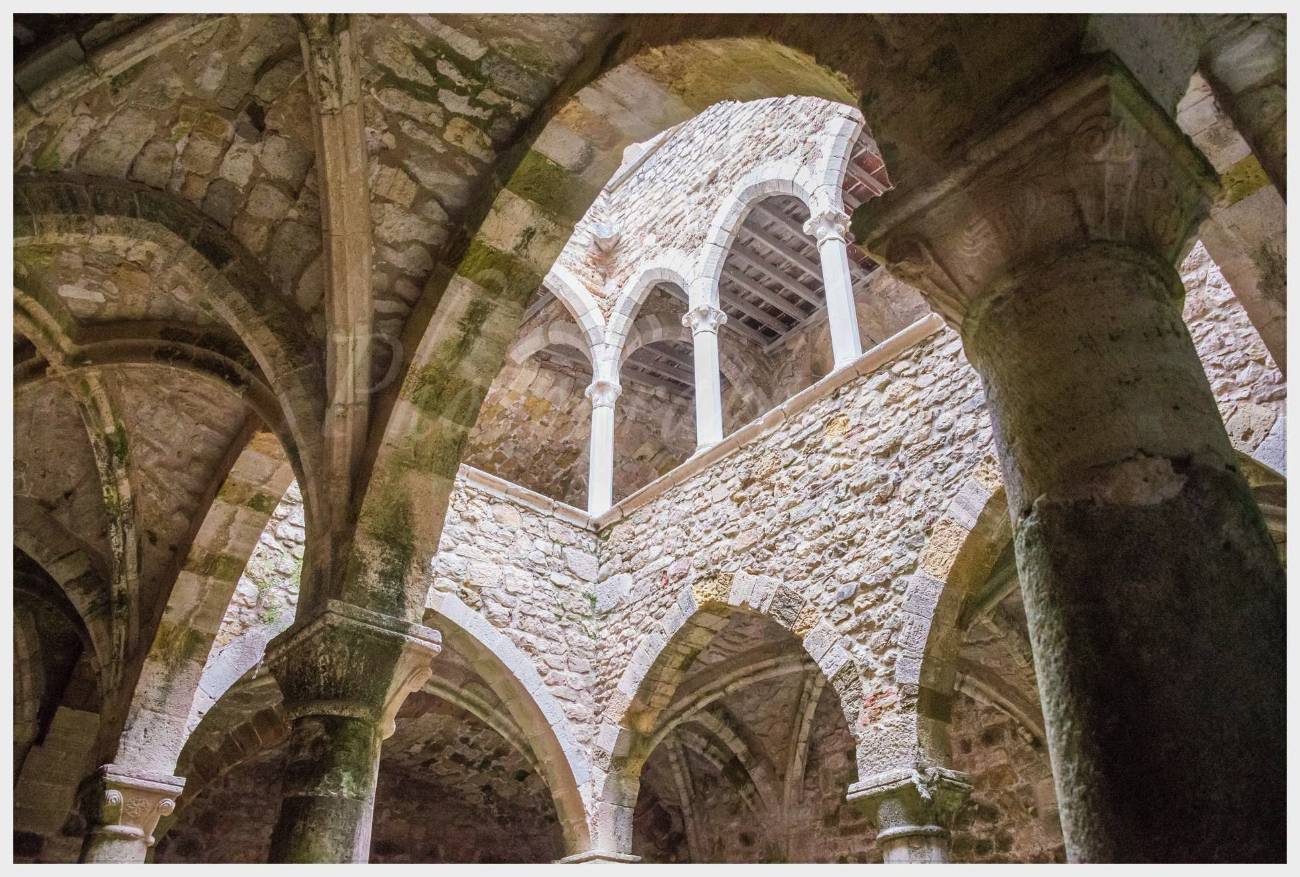 Nom de l'image : 20170427-125356_D6012832_c_Photographie.Pro — Description :