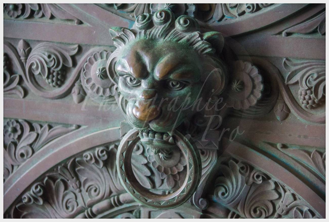 Nom de l'image : 20170428-093700_D6013039_c_Photographie.Pro — Description :