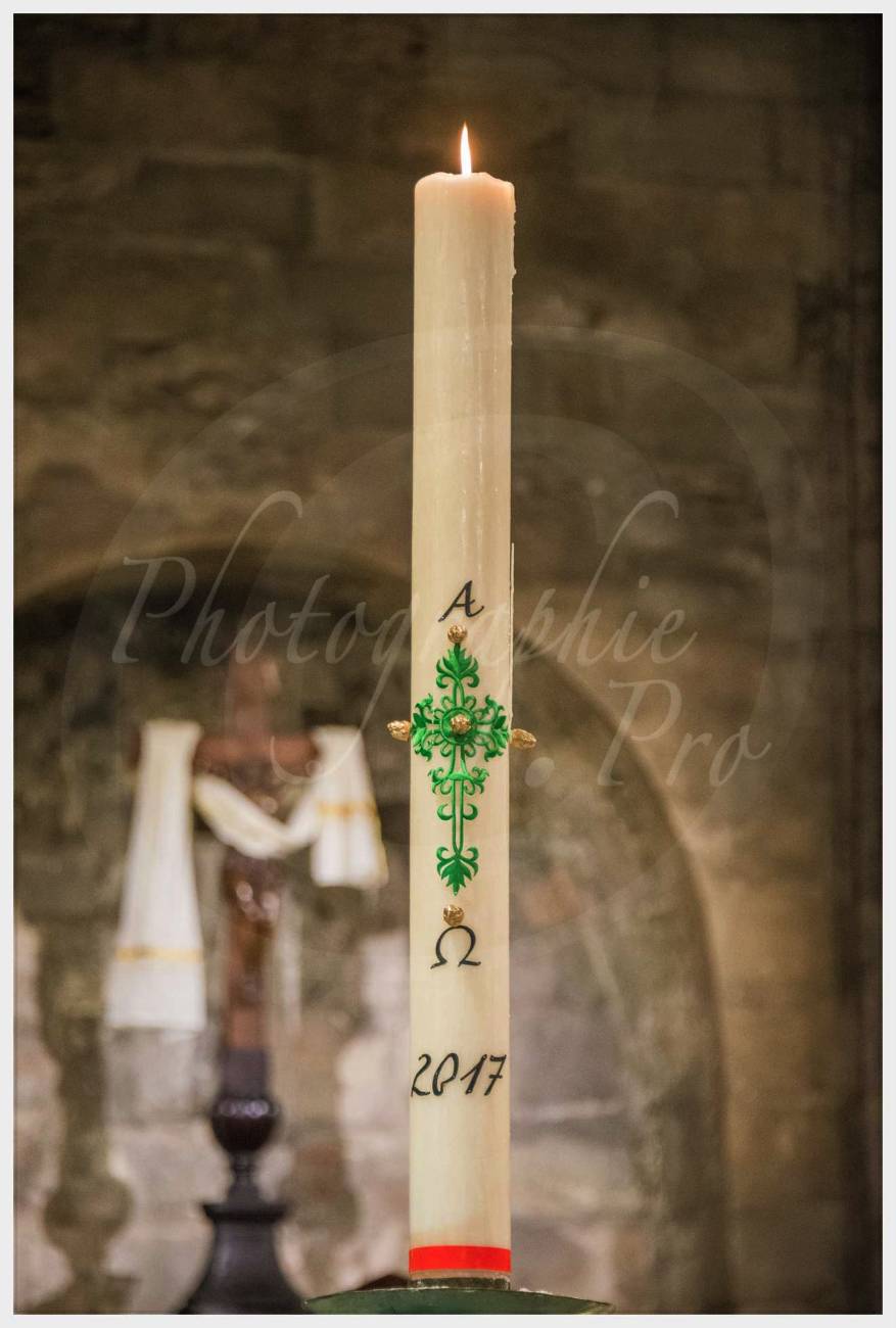 Nom de l'image : 20170428-110706_D6013175_c_Photographie.Pro — Description :