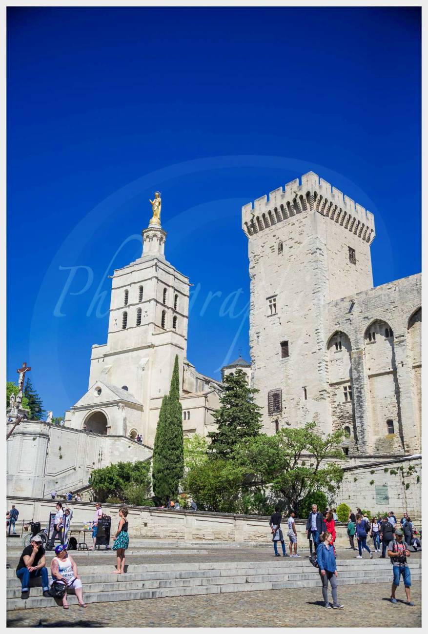 Nom de l'image : 20170429-153446_D6013388_c_Photographie.Pro — Description :