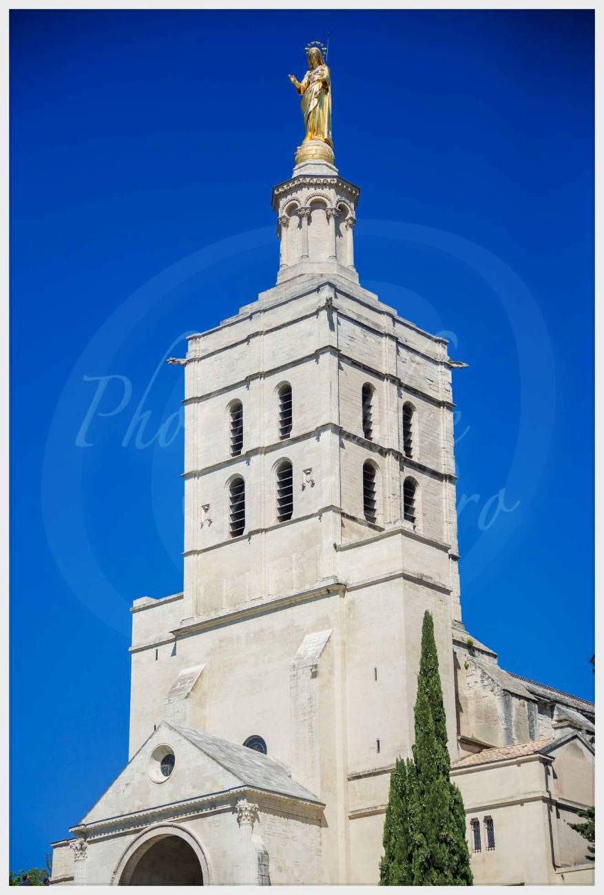 Nom de l'image : 20170429-153452_D6013390_c_Photographie.Pro — Description :