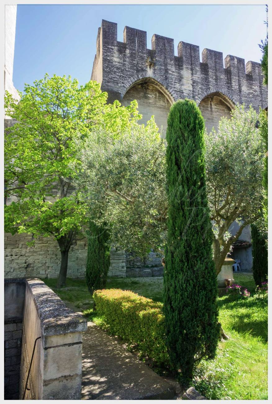 Nom de l'image : 20170429-163148_S1012499_c_Photographie.Pro — Description :