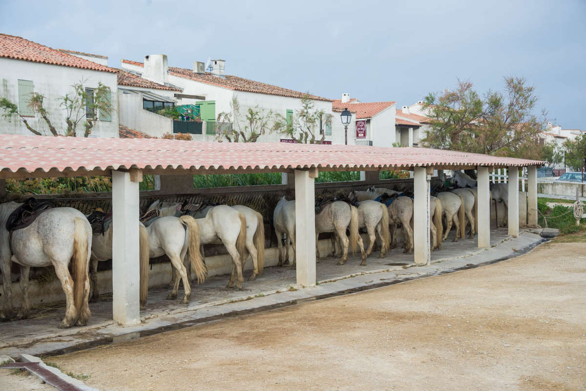 Nom de l'image : 20170424-085208_D6011937_c_Photographie.Pro — Description :