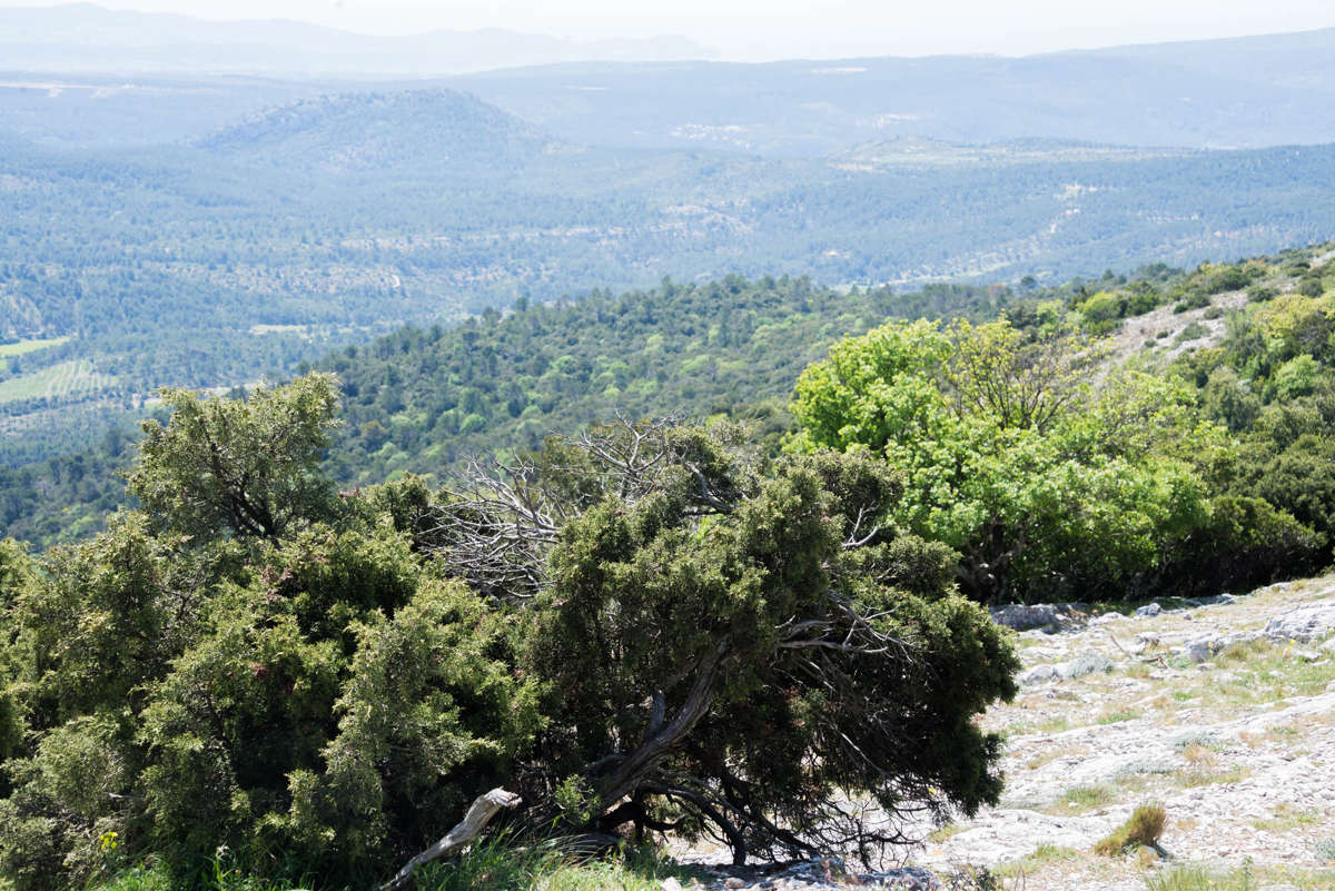 Nom de l'image : 20170425-131218_D6012201_c_Photographie.Pro — Description :