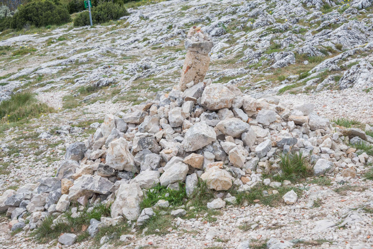 Nom de l'image : 20170425-141516_D6012215_c_Photographie.Pro — Description :