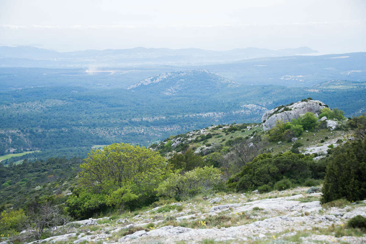 Nom de l'image : 20170425-141612_D6012220_c_Photographie.Pro — Description :