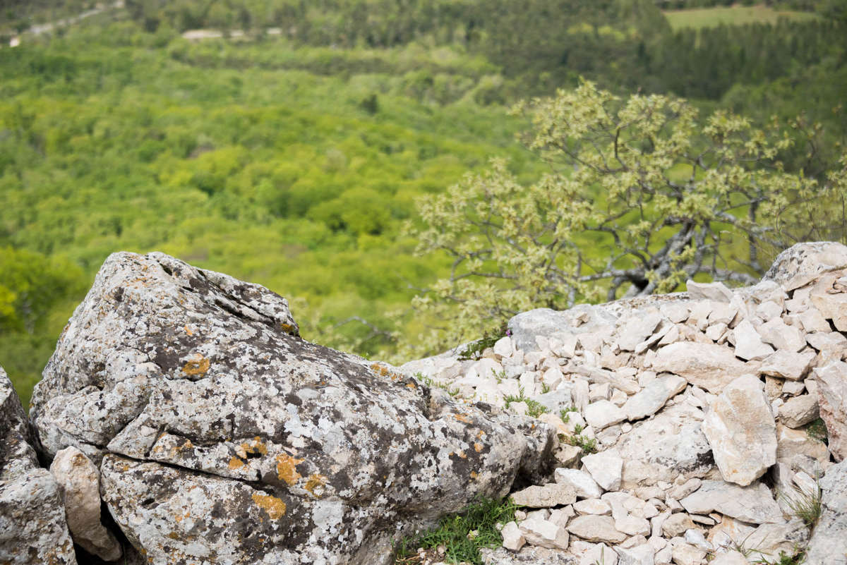 Nom de l'image : 20170425-143124_D6012232_c_Photographie.Pro — Description :