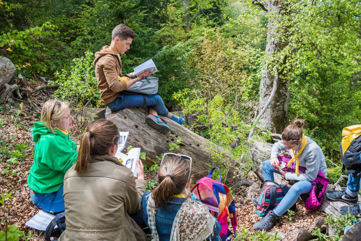 Nom de l'image : 20170425-143358_D6012241_c_Photographie.Pro — Description :