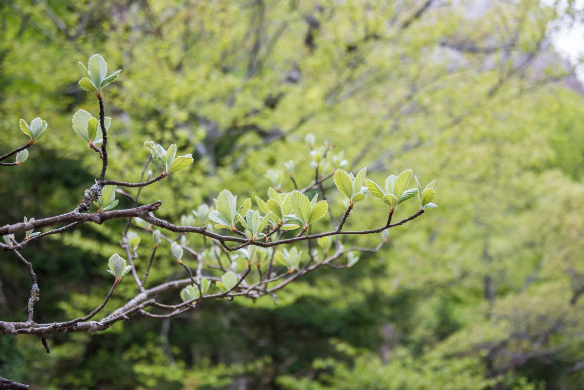 Nom de l'image : 20170425-143820_D6012254_c_Photographie.Pro — Description :