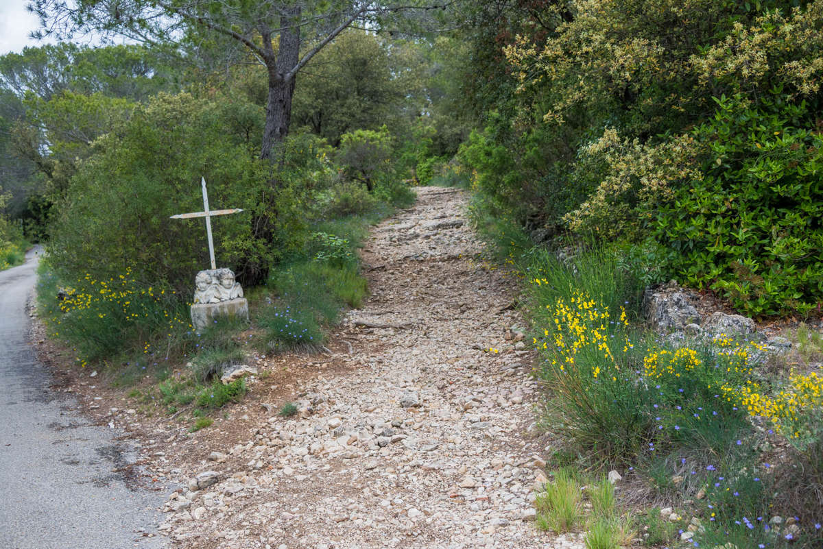 Nom de l'image : 20170426-134736_D6012357_c_Photographie.Pro — Description :