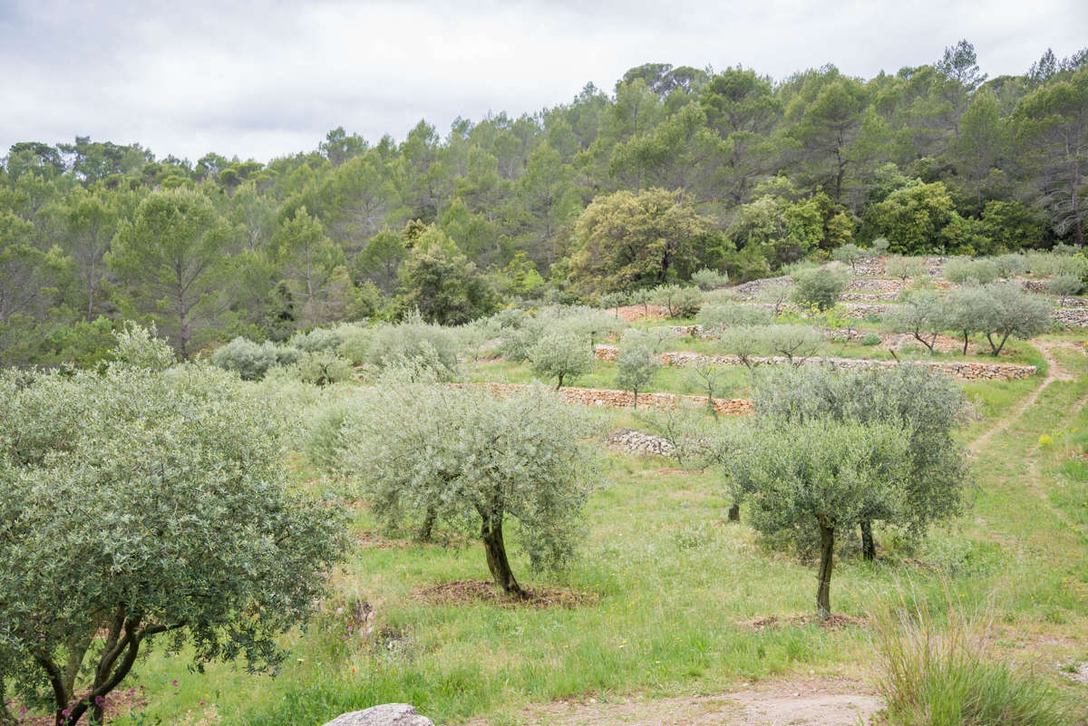 Nom de l'image : 20170426-141650_D6012369_c_Photographie.Pro — Description :