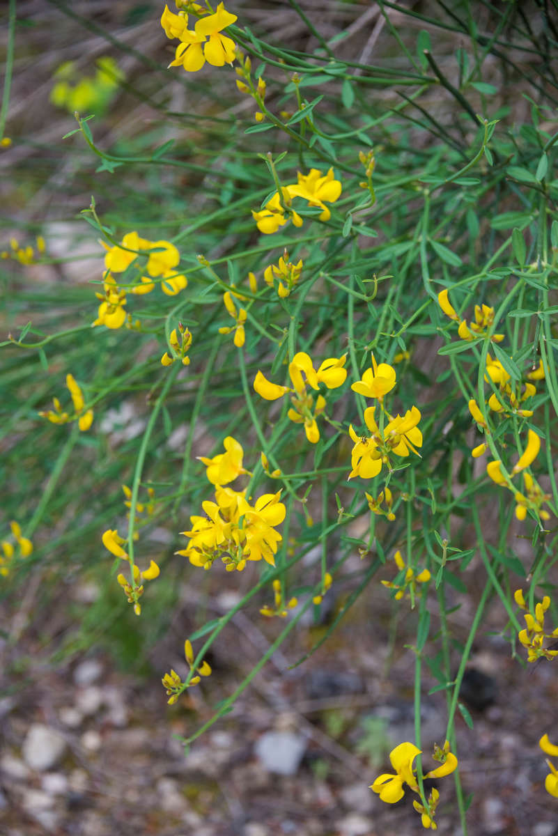 Nom de l'image : 20170426-142532_D6012372_c_Photographie.Pro — Description :