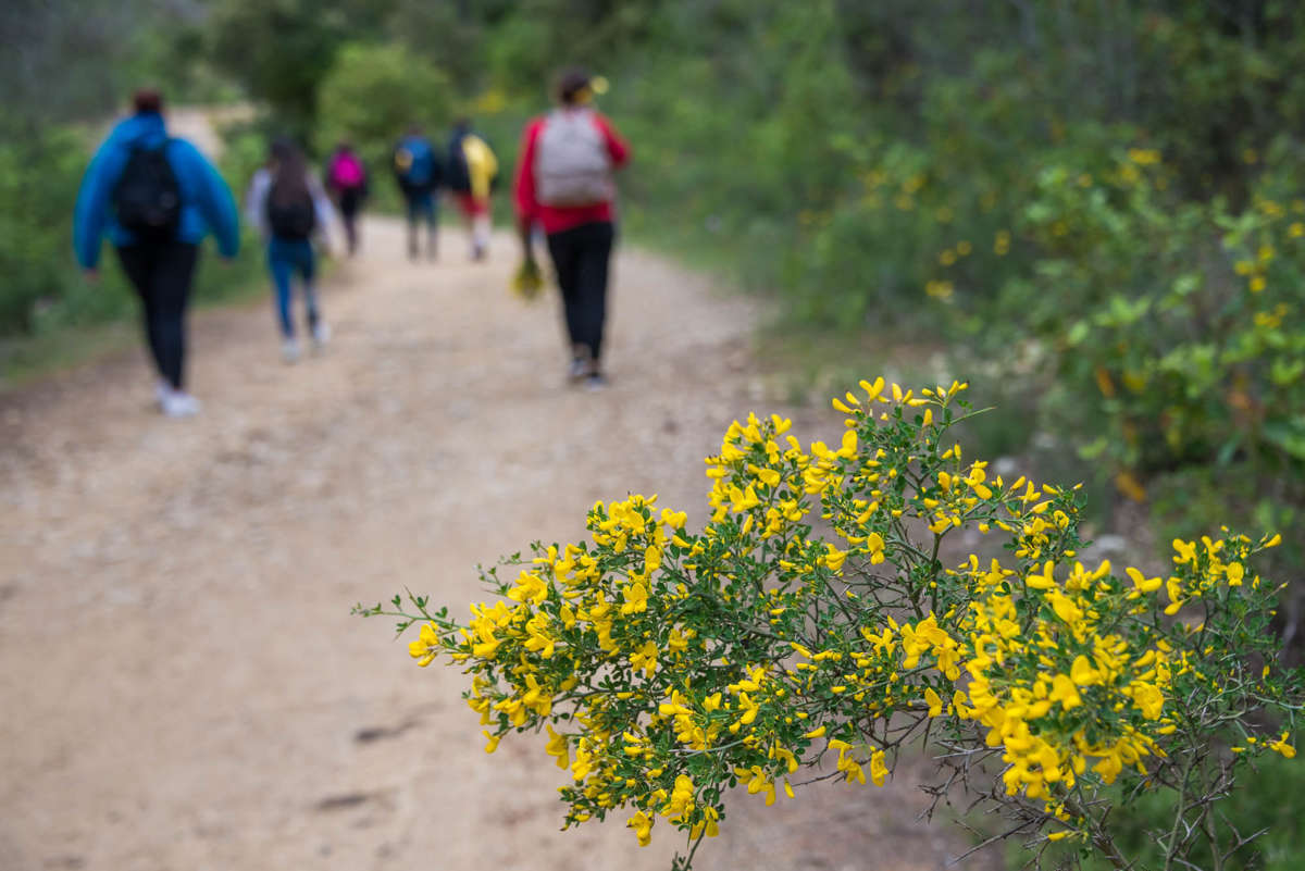 Nom de l'image : 20170426-145700_D6012383_c_Photographie.Pro — Description :