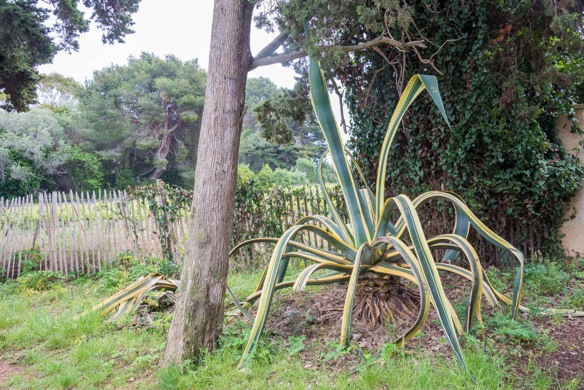 Nom de l'image : 20170427-104022_D6012769_c_Photographie.Pro — Description :