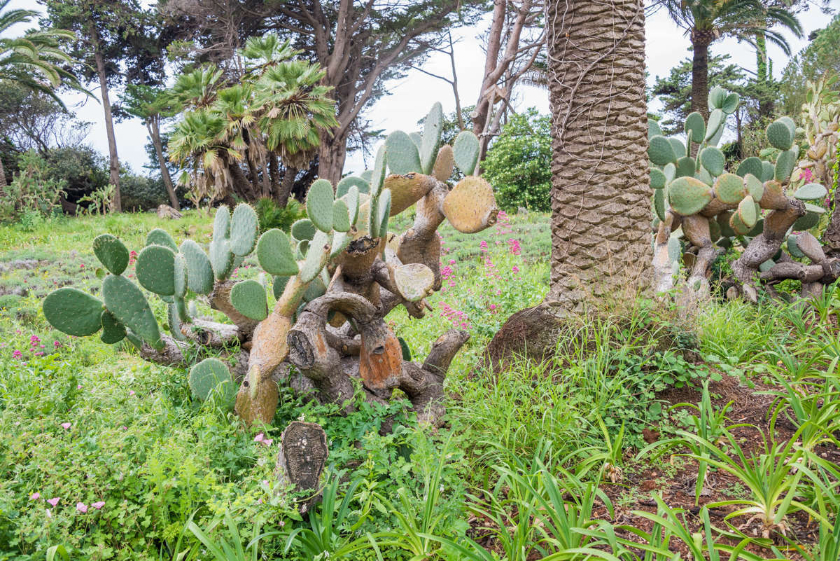 Nom de l'image : 20170427-120826_D6012810_c_Photographie.Pro — Description :