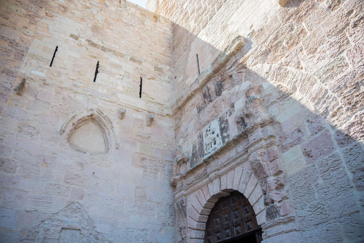 Nom de l'image : 20170428-121918_D6013194_c_Photographie.Pro — Description :