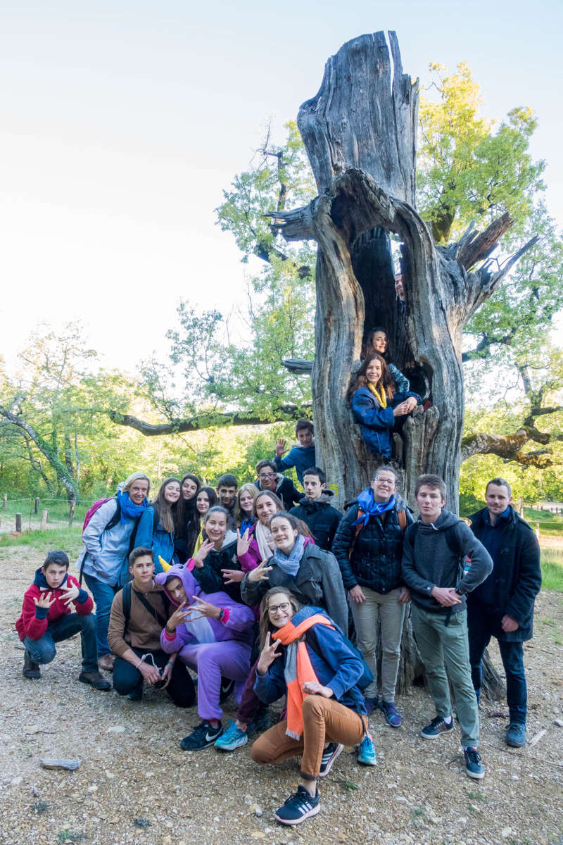 Nom de l'image : 20170429-074222_S1011926_c_Photographie.Pro — Description :