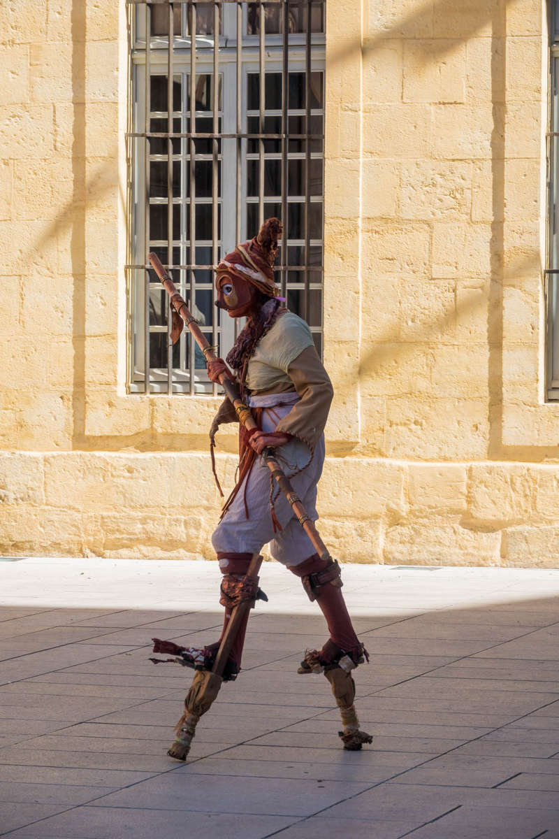 Nom de l'image : 20170429-105134_S1012090_c_Photographie.Pro — Description :