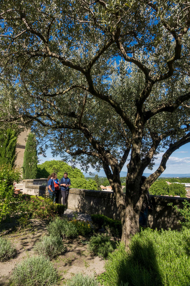 Nom de l'image : 20170429-163626_S1012514_c_Photographie.Pro — Description :