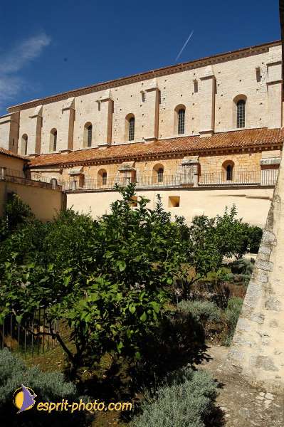 Nom de l'image : D1168900-1 — Description :  Abbaye de Fossanova (Latina-Italie) - Abbaye cistersienne