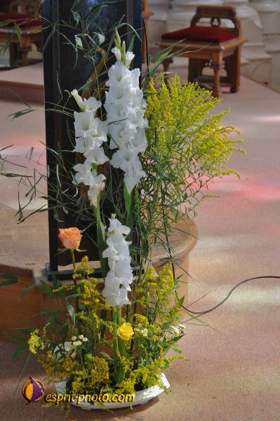 Nom de l'image : 2179653 — Description :