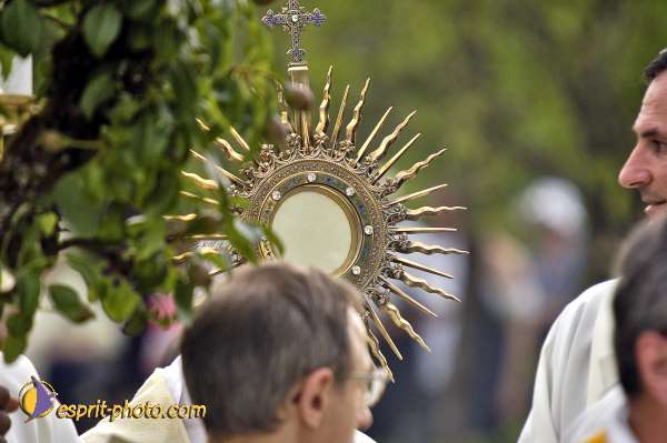 Nom de l'image : D2015569-1 — Description :