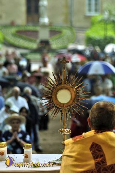 Nom de l'image : D2015698-1 — Description :