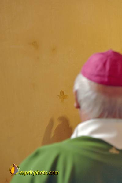 Nom de l'image : D2237355_1 — Description :