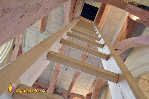 Nom de l'image : D2237816_1 — Description :