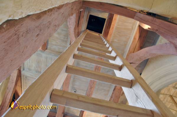 Nom de l'image : D2237822_1 — Description :