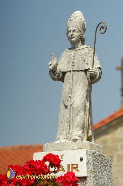 Nom de l'image : D1154003-01 — Description :