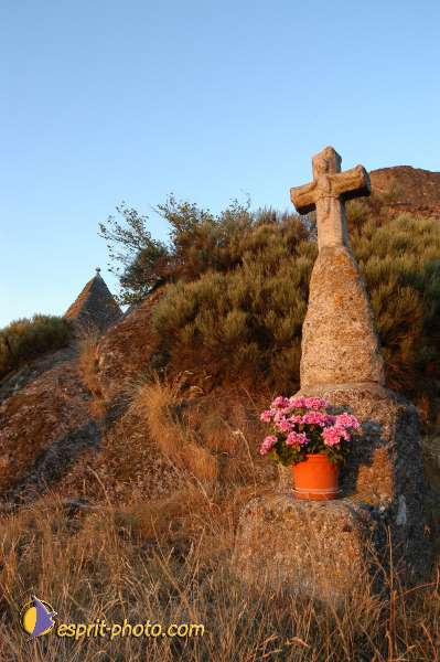 Nom de l'image : D1154007-01 — Description :