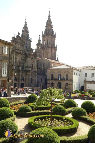 Nom de l'image : D1156484-01 — Description :