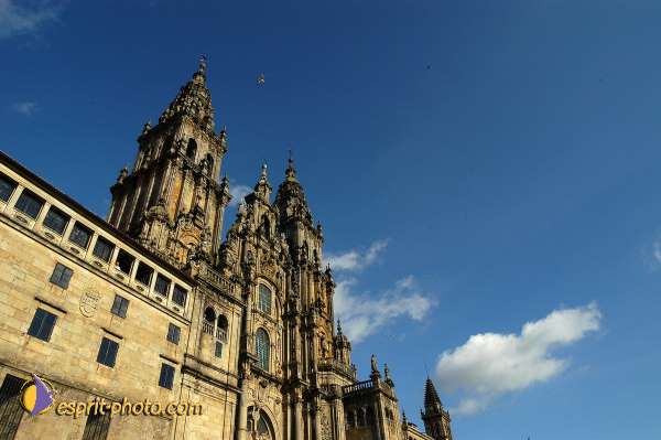 Nom de l'image : D1156740-01 — Description :