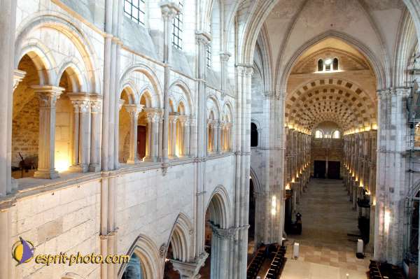 Nom de l'image : D1137801-01 — Description :