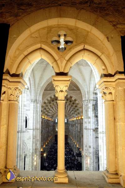 Nom de l'image : D1138729-01 — Description :