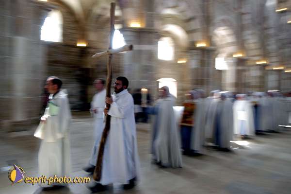 Nom de l'image : D1139066-01 — Description :