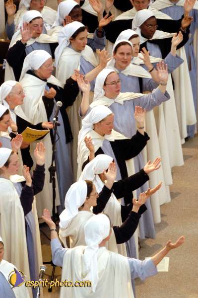 Nom de l'image : D1139237-01 — Description :